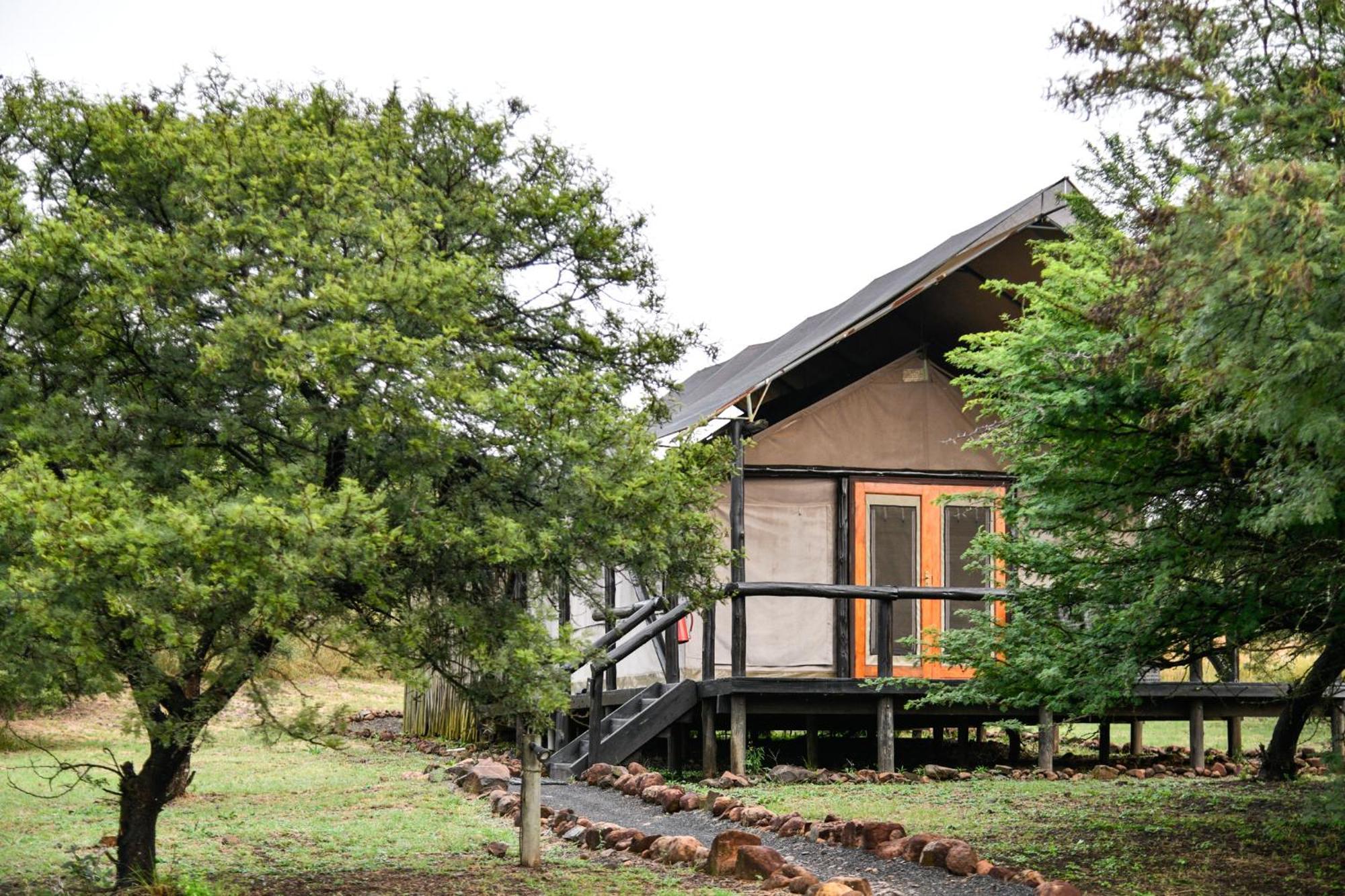 The Springbok Lodge Ladysmith Exterior foto