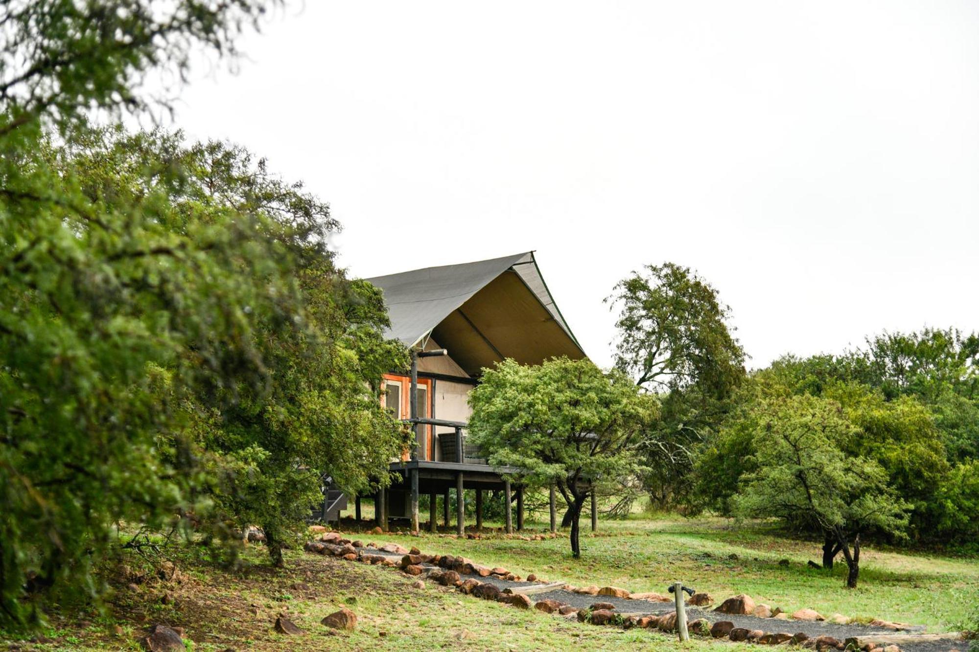 The Springbok Lodge Ladysmith Exterior foto